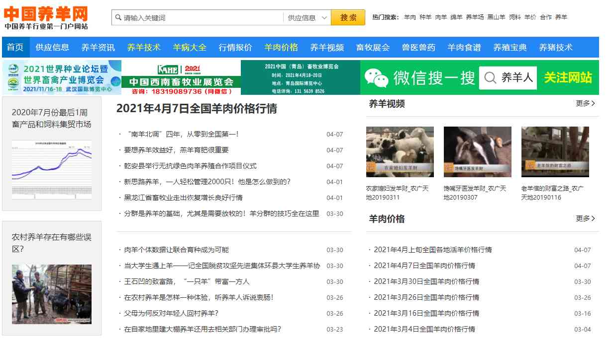 网站图片