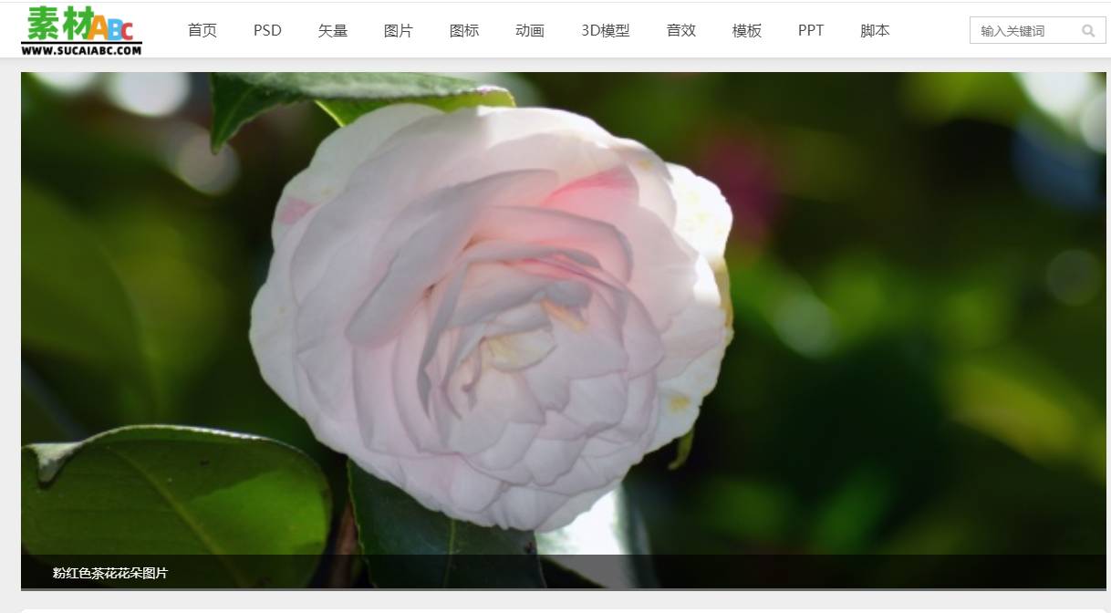 6年多站长图片素材站神马评级是3级